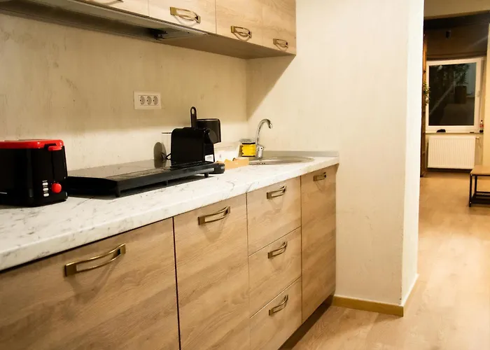 Oldern House Aparthotel Brasov